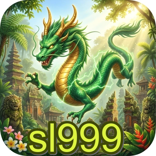 sl999 Security Analysis
